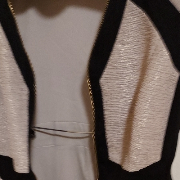 Elegant Sleeveless Beige With Gold and Black Women's Dress Fully Lined Size 10 - Picture 7 of 13